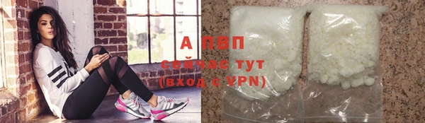 PSILOCYBIN Сосновоборск