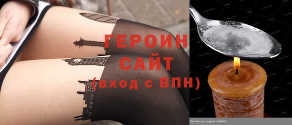 гидра Снежногорск