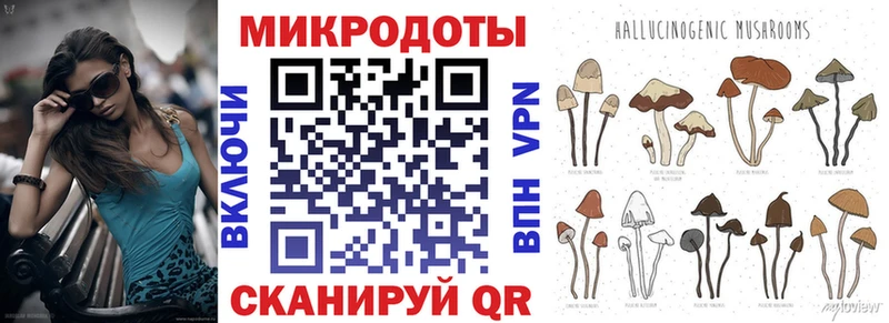 Галлюциногенные грибы Psilocybine cubensis  Клинцы 